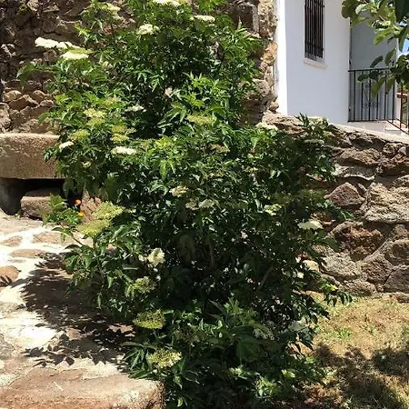 Casa Sierra De Gredos *