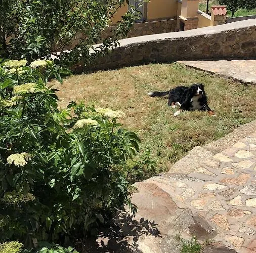 Landhaus Casa Sierra De Gredos *