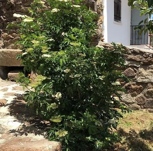 Casa Sierra De Gredos *