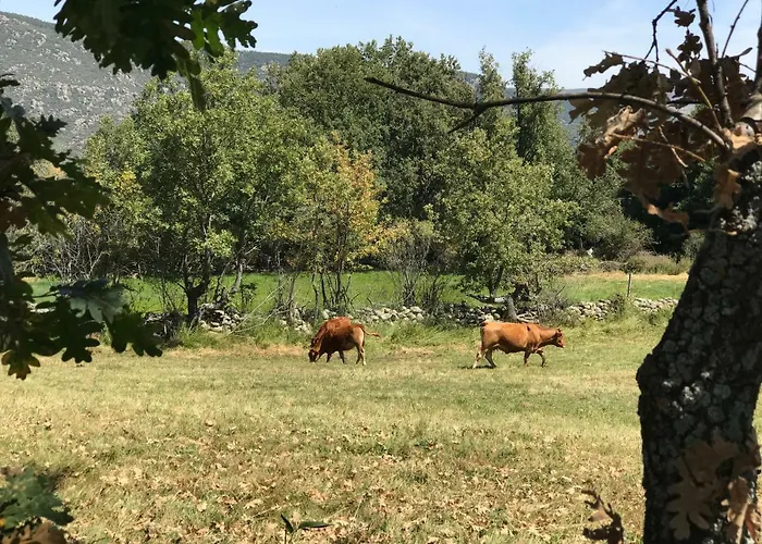 Casa Sierra De Gredos