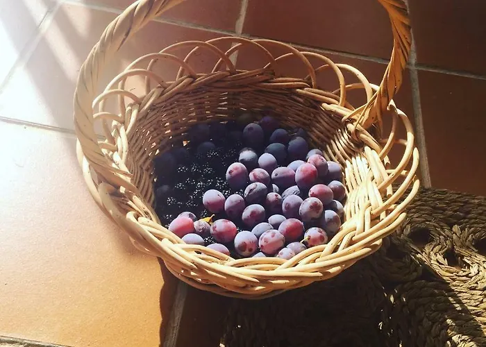 Casa Sierra De Gredos